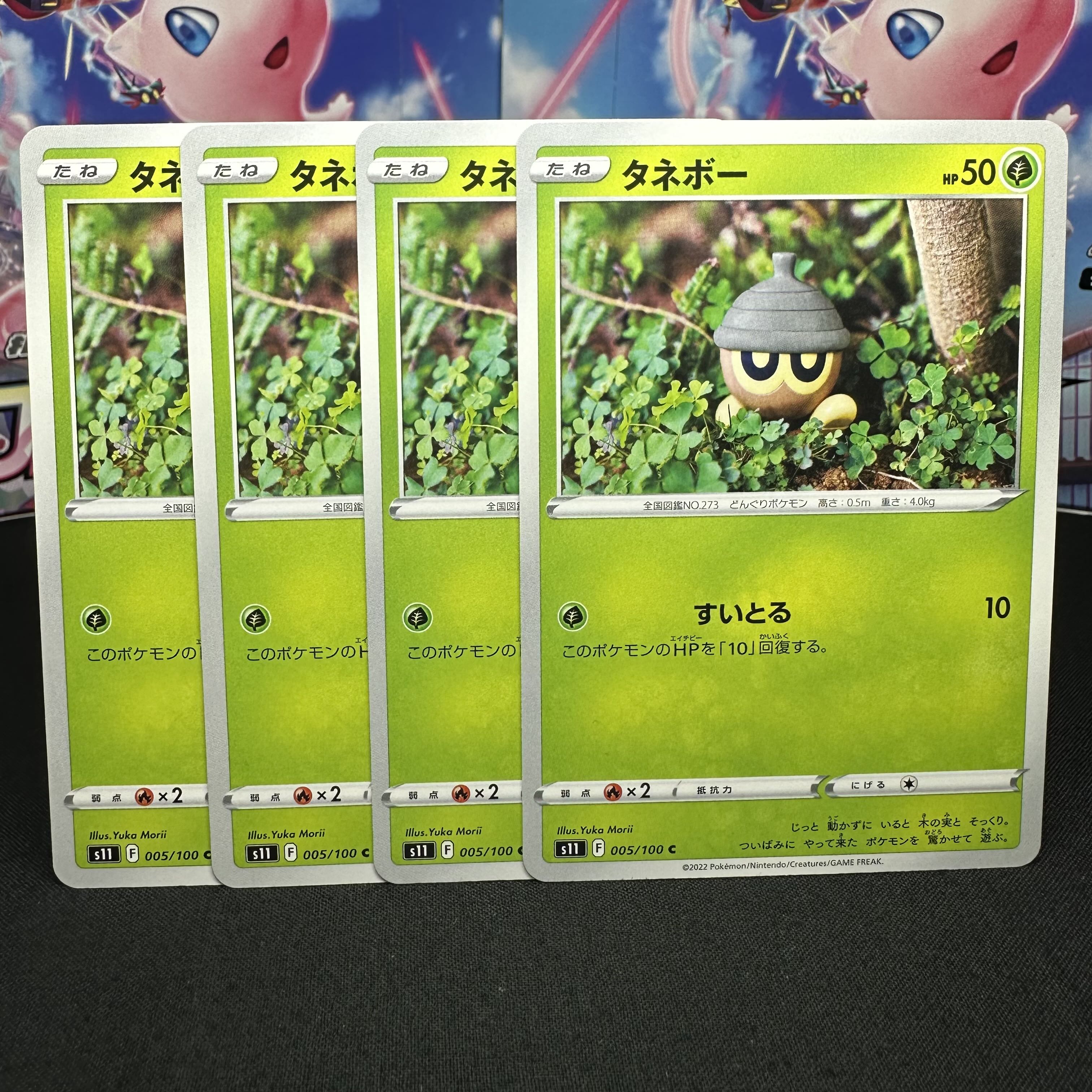 タネボー C 005/100