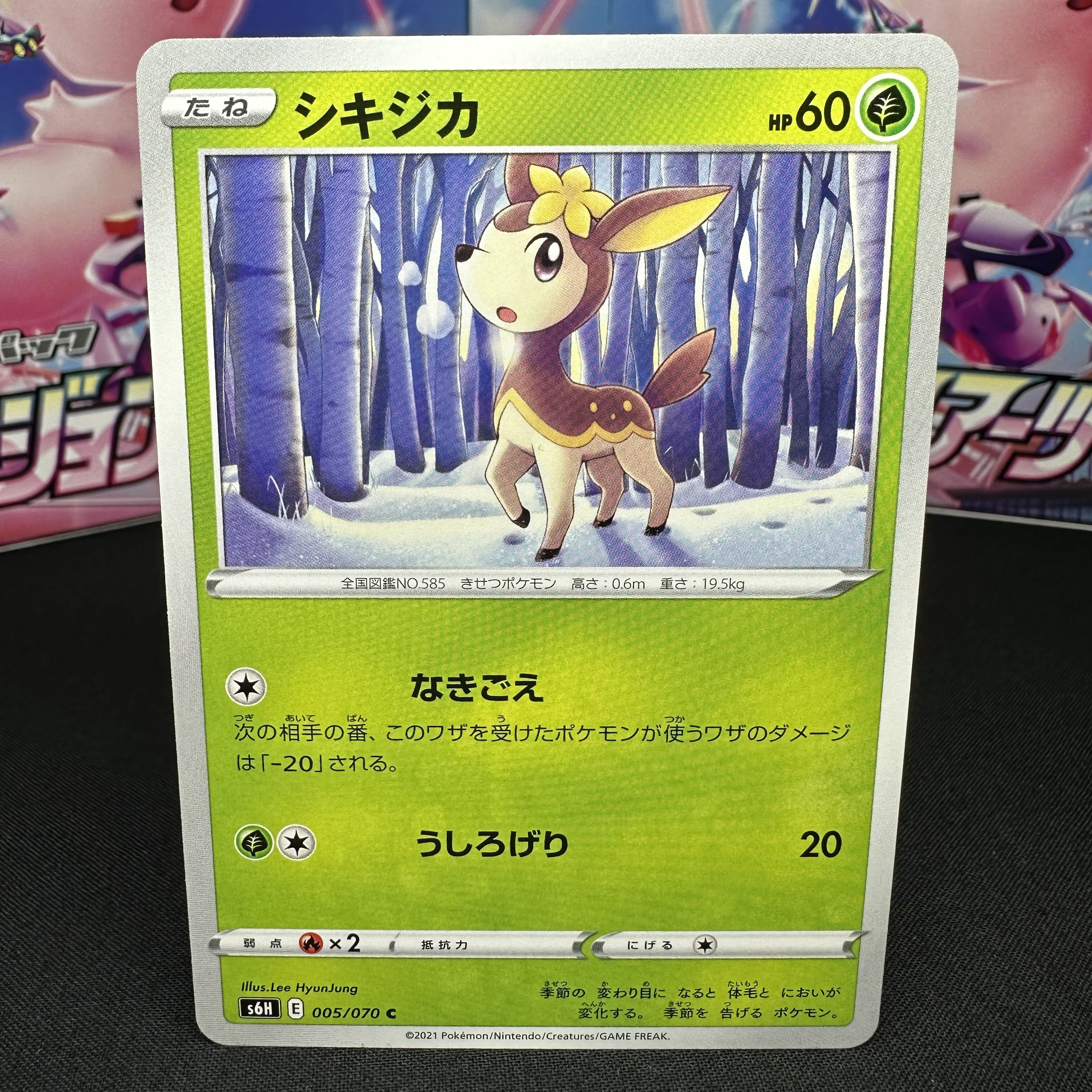 シキジカ C 005/070