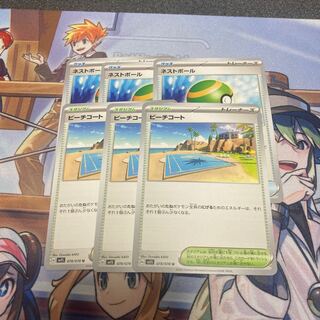 Nest Ball, Beach Court