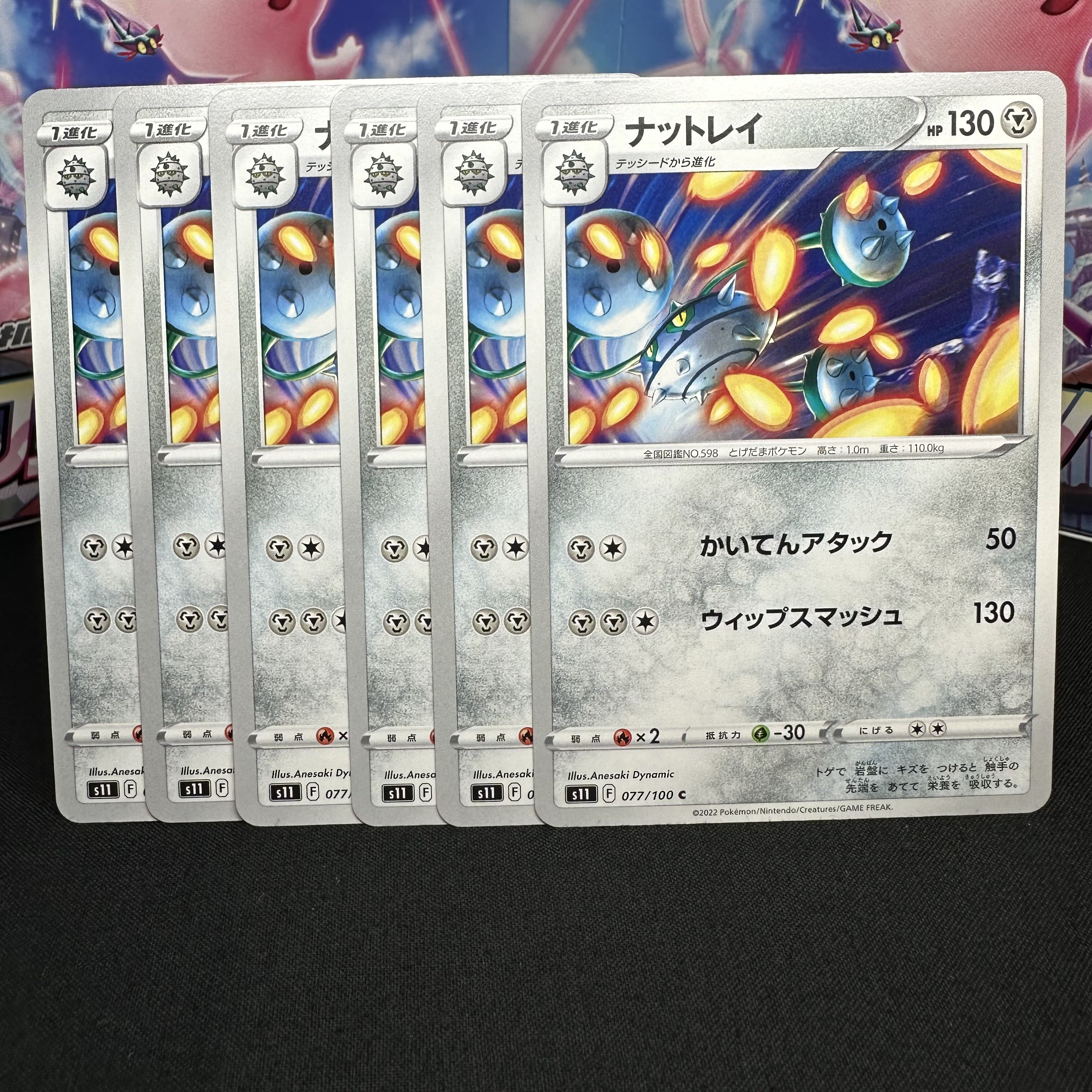 ナットレイ C 077/100