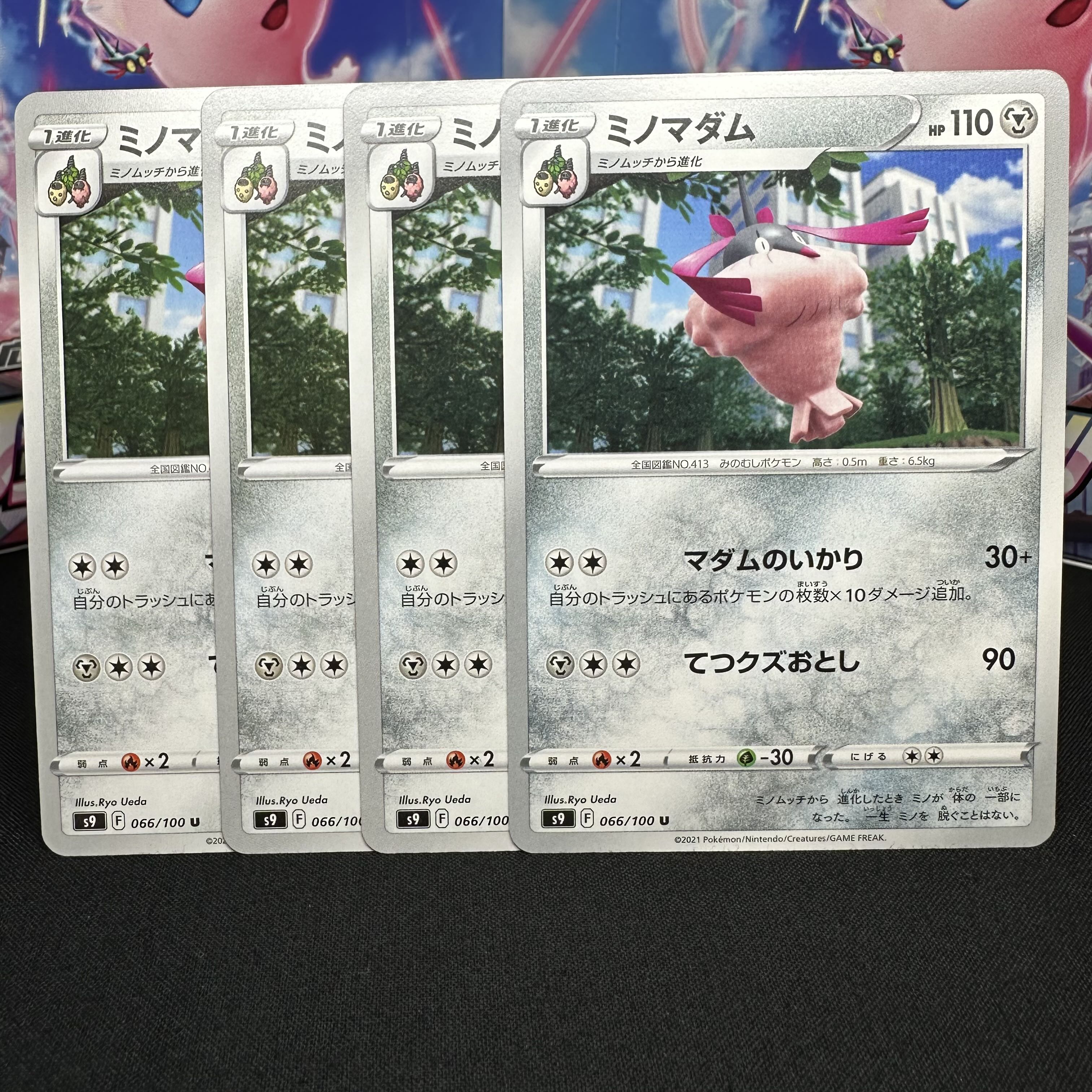 ミノマダム U 066/100