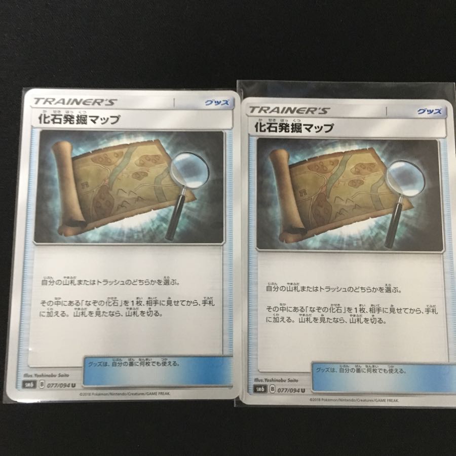 2 copies of Fossil Excavation Map