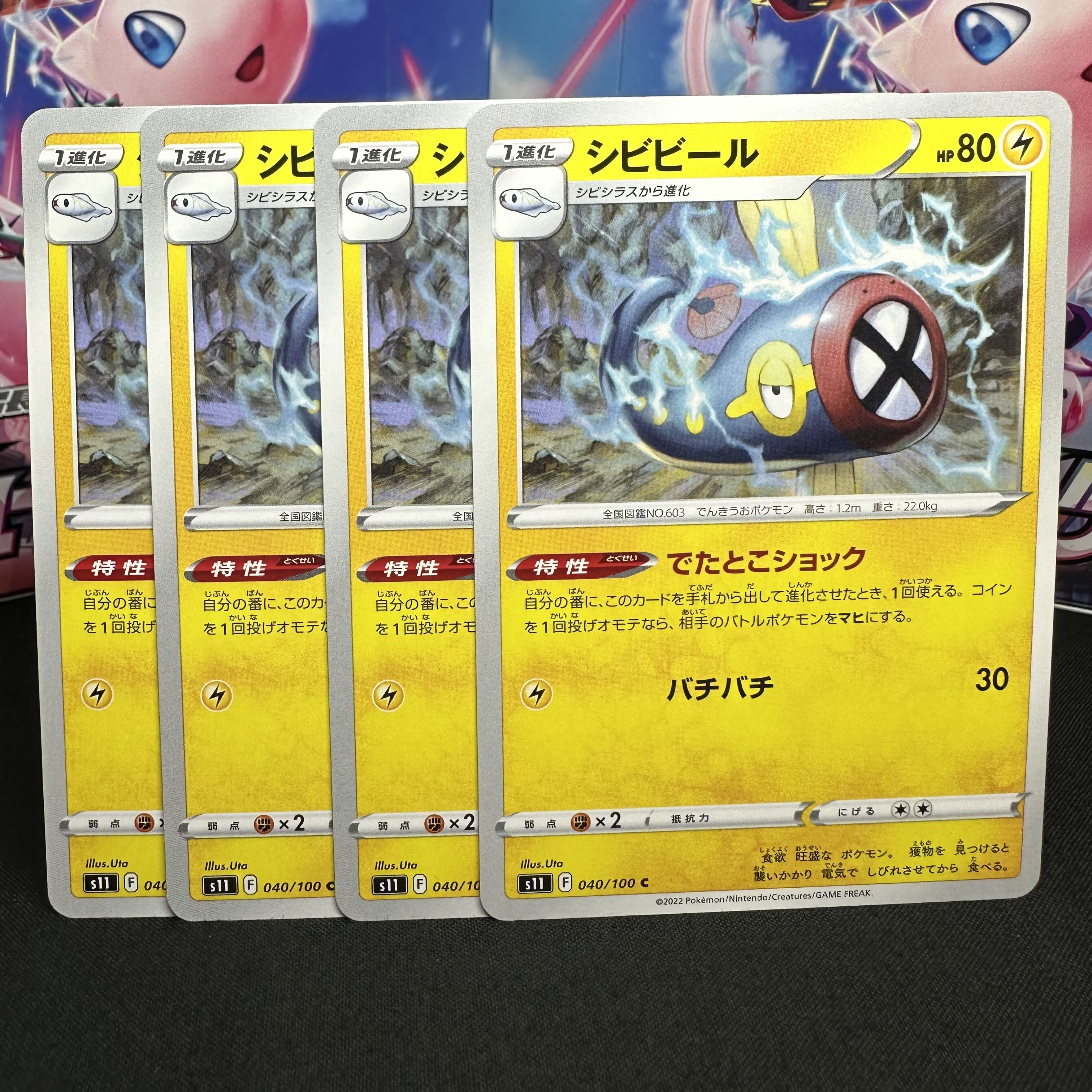 シビビール C 040/100