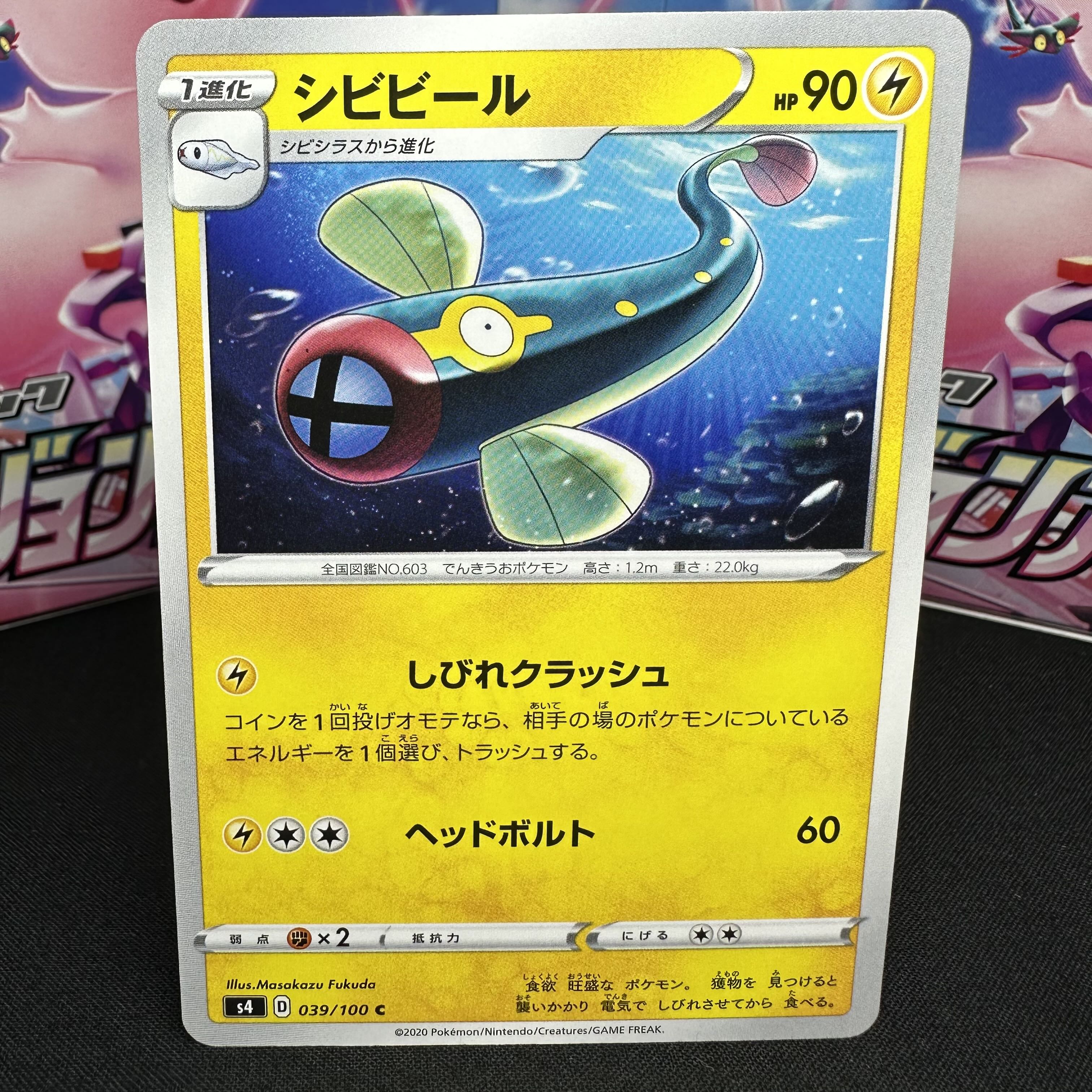 シビビール C 039/100