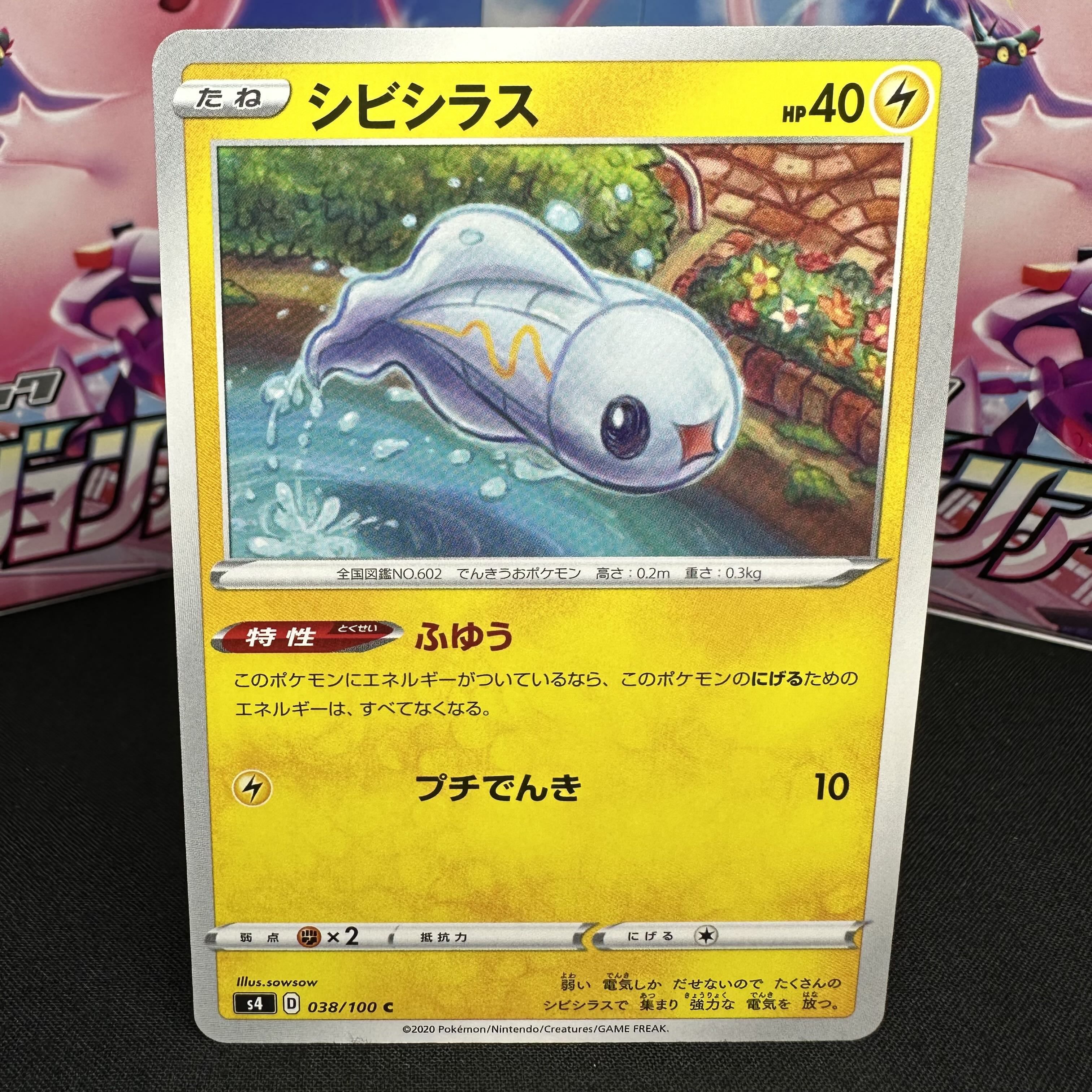 シビシラス C 038/100