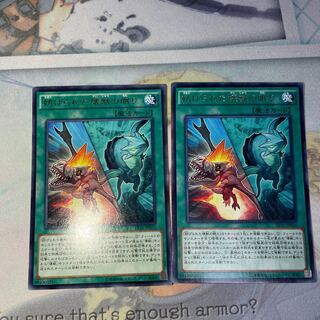 妨げられた壊獣の眠り レア JP030