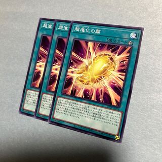 超進化の繭 レア JP009