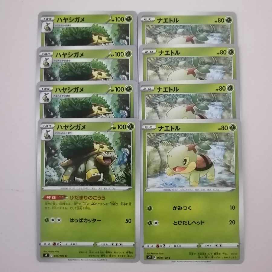 Turtwig Grotle 8-piece set