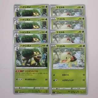 ナエトル  ハヤシガメ 8枚セット