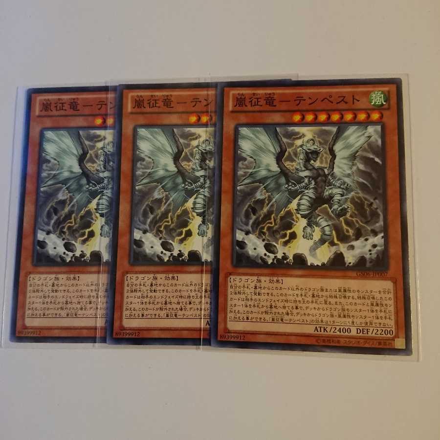 《嵐征竜-テンペスト》