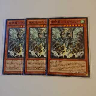 《嵐征竜－テンペスト》