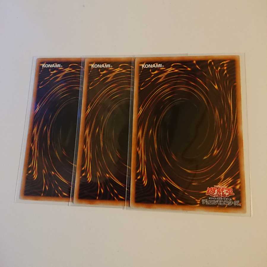 《嵐征竜-テンペスト》