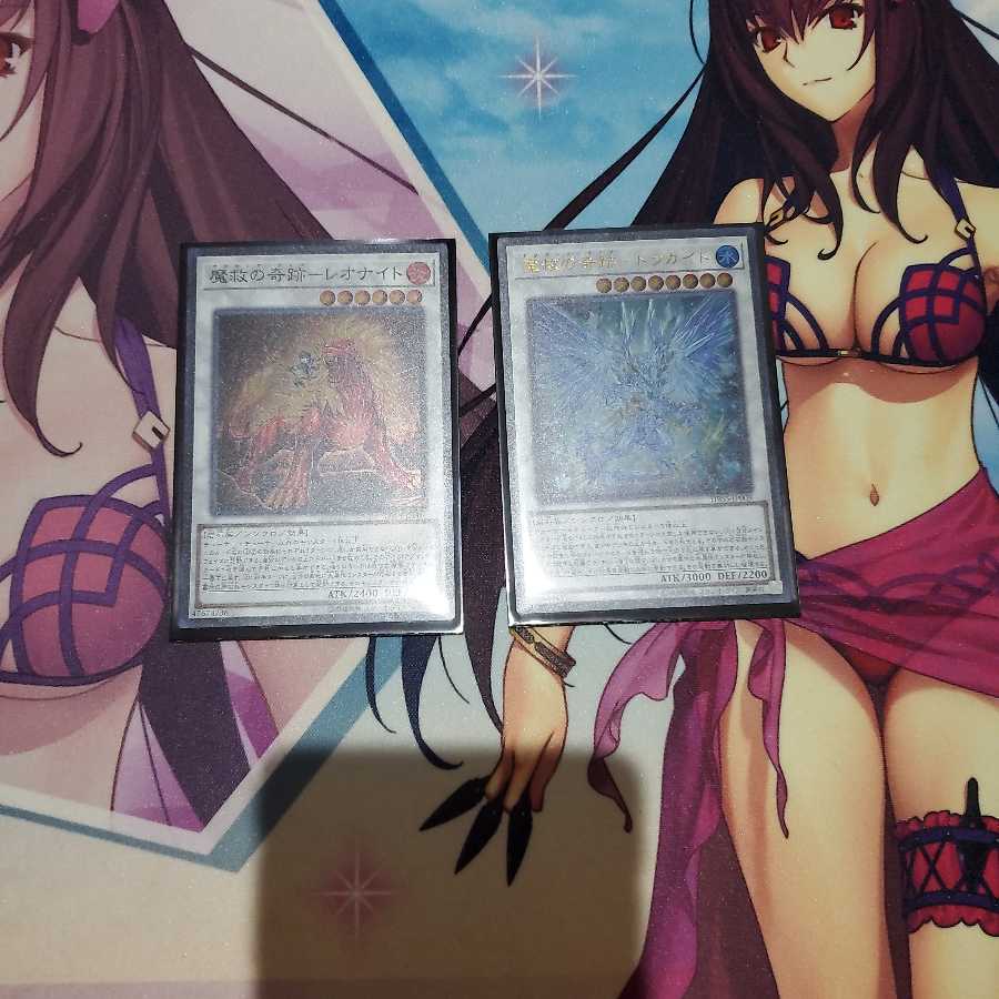 アダマシアセット