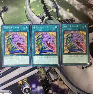 強欲で貪欲な壺