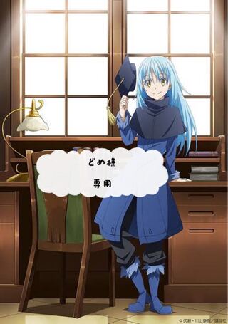 【どめ様】専用