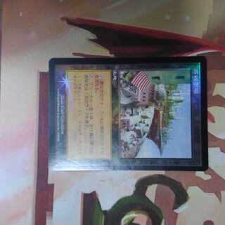 高級市場　ﾌｫｲﾙ