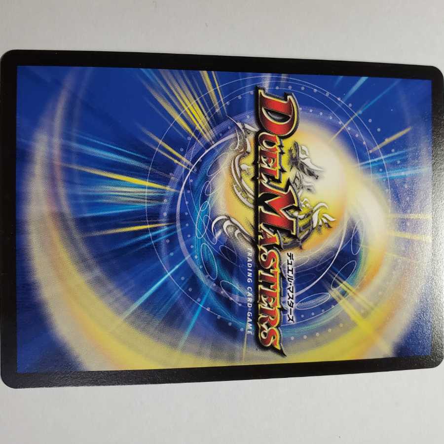 グランドゼーロ 専用