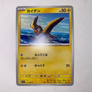 カイデン C 023/078