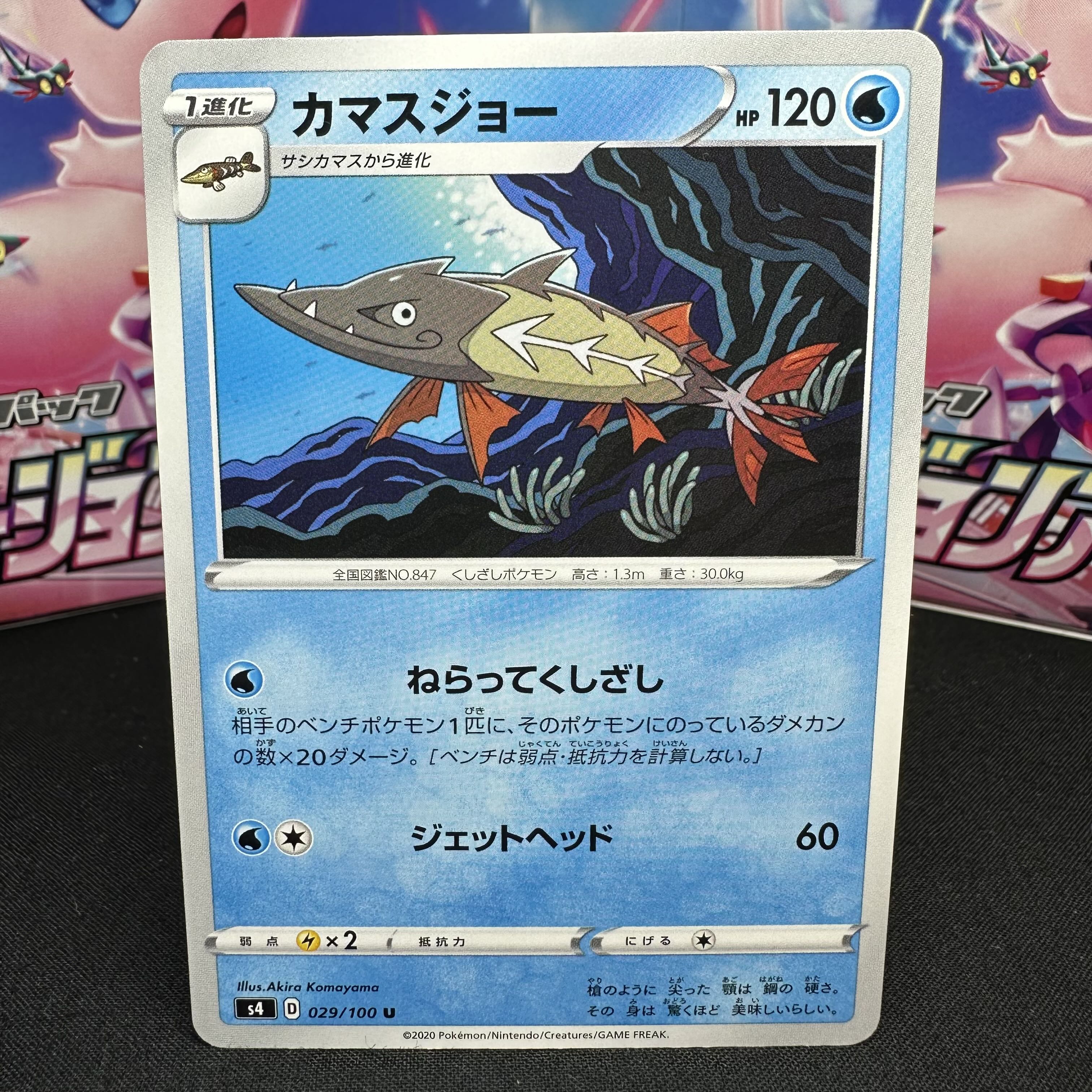 カマスジョー U 029/100