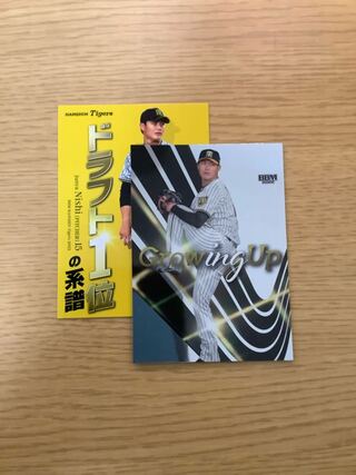 西純也カードセット