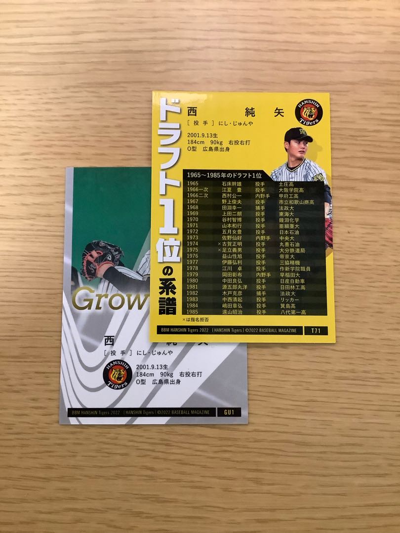 西純也カードセット