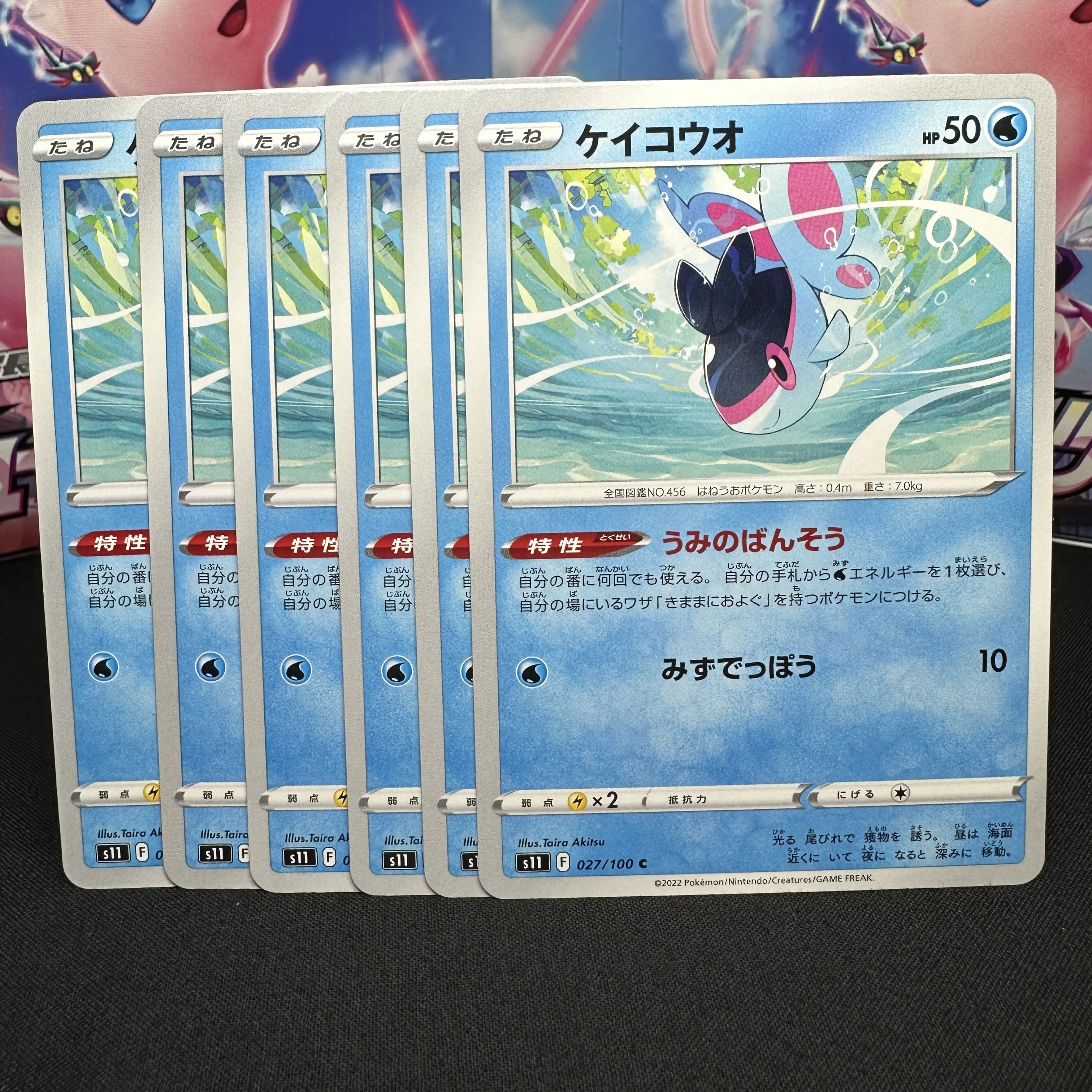 ケイコウオ C 027/100