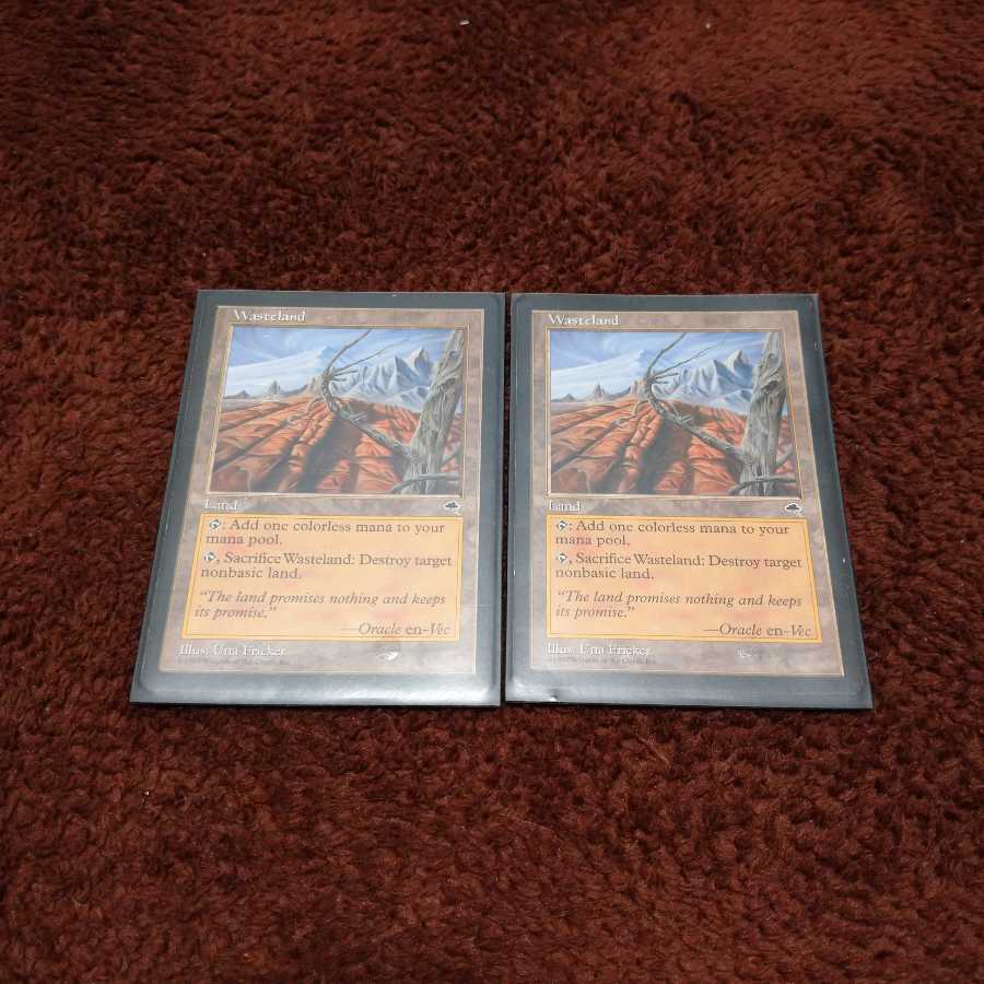 不毛の大地　英語版　2枚セット