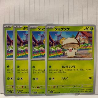 タマゲタケ C 002/073