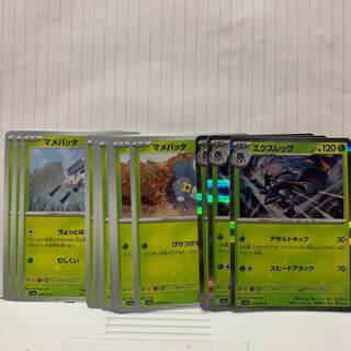 マメバッタ C 008.009.010/073