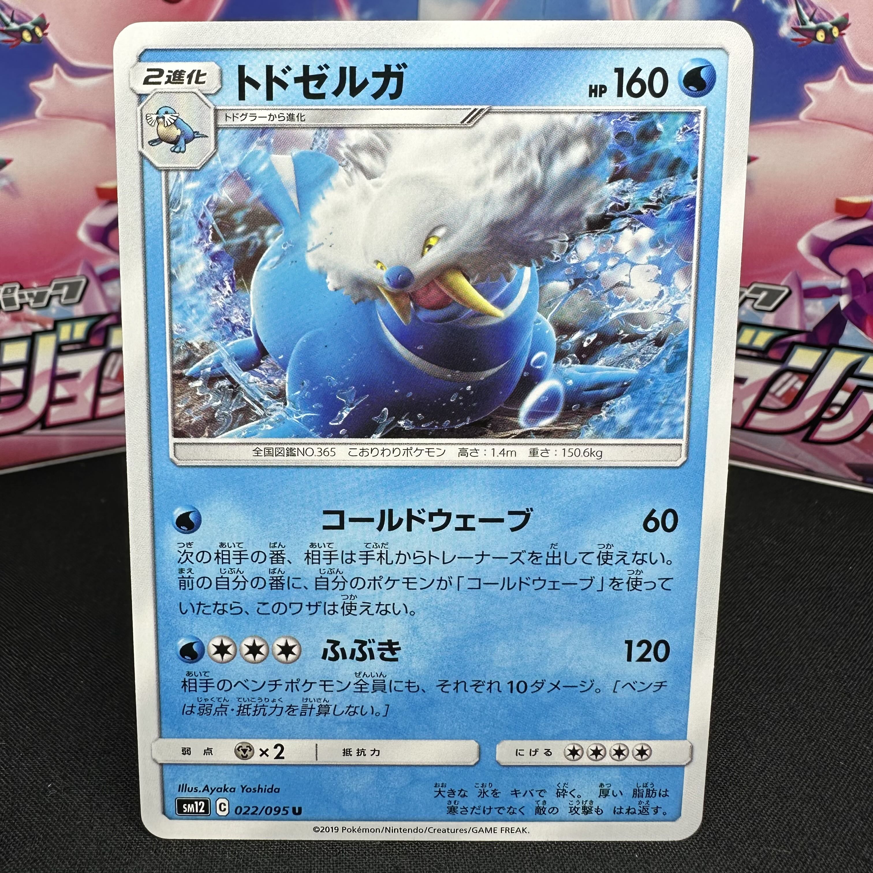 トドゼルガ U 022/095