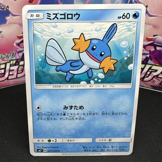 Mudkip C 021/096