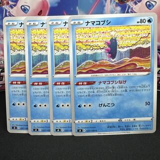 ナマコブシ C 027/100