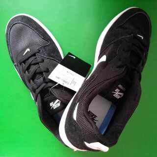 ◆Nike SB Alliup skateboarding shoes 28cm◆ 25cm