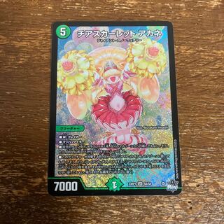 Cheer Scarlet Whitney SR S8/S8