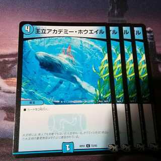 王立アカデミーホウエイル　４枚　アカマル