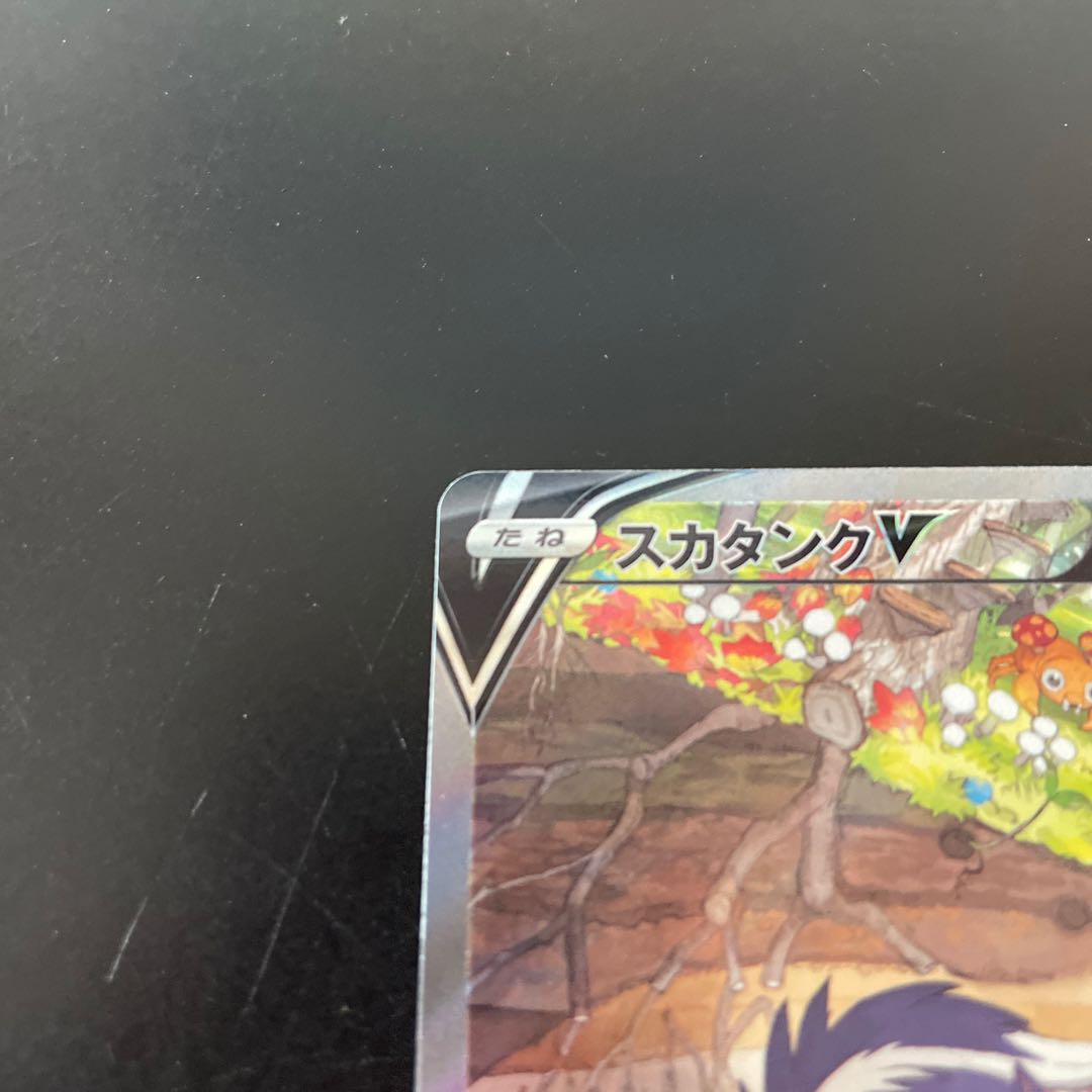 SkuntankV SR 106/098