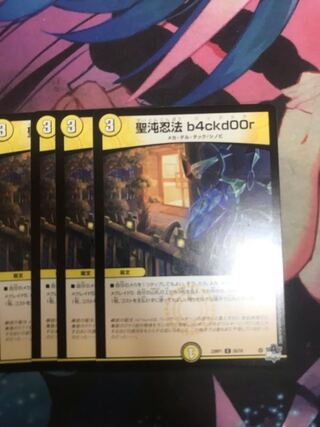 聖沌忍法 b4ckd00r C 55/74