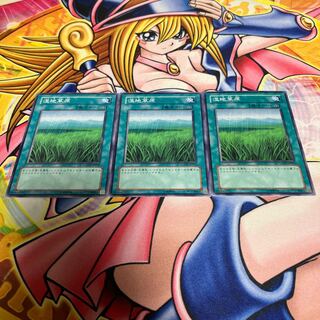 湿地草原 ノーマル JP054