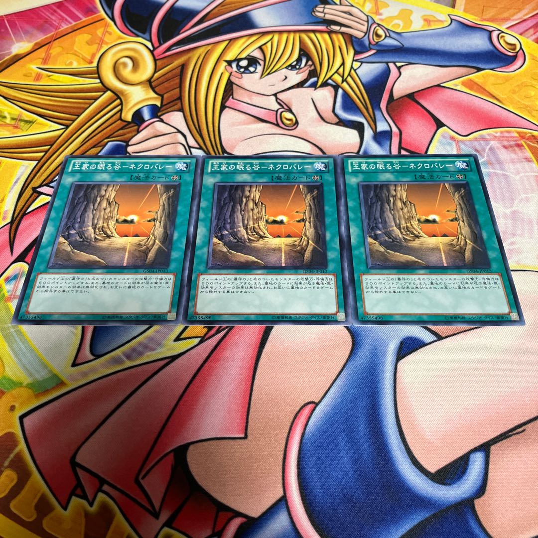 Valley of Sleep of Kings - Necro Valley Normal JP013