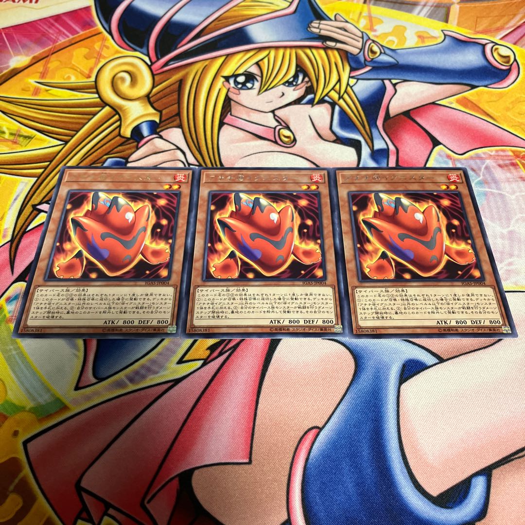 Achichi@Ignister Rare JP004