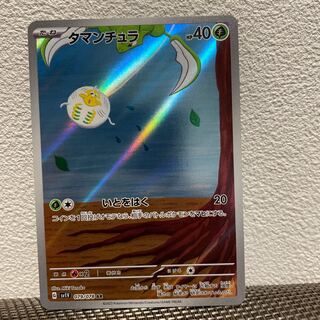 タマンチュラ AR 079/078