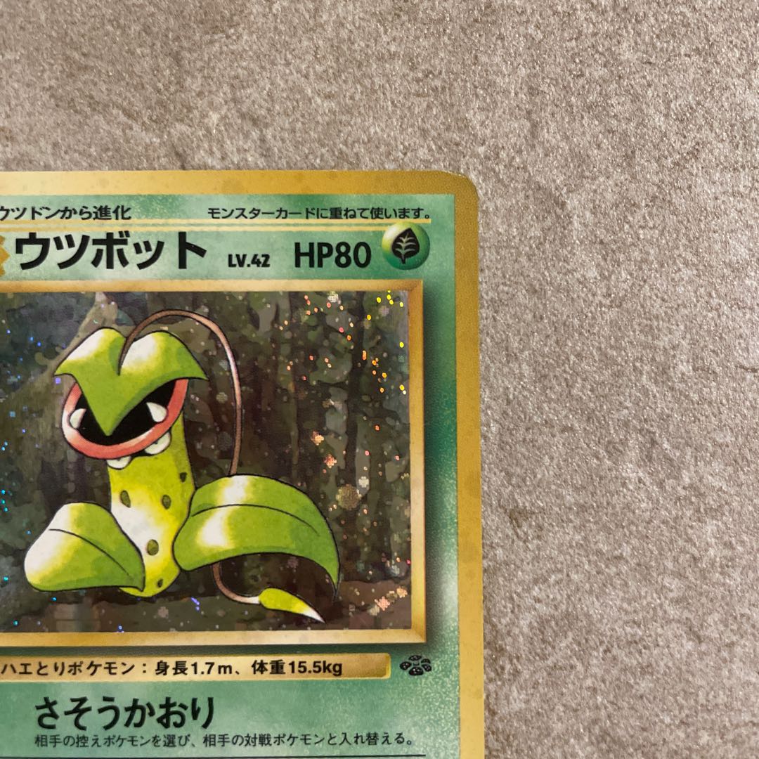 ウツボット 旧裏