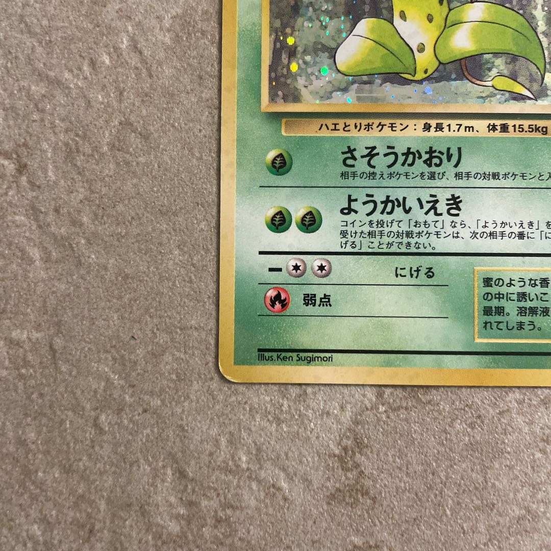 ウツボット 旧裏