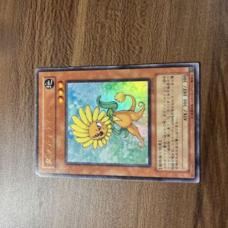 Dandylion Ultra Rare JP013