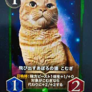 2-Pack Pop-up Aporo's Cat Komugi