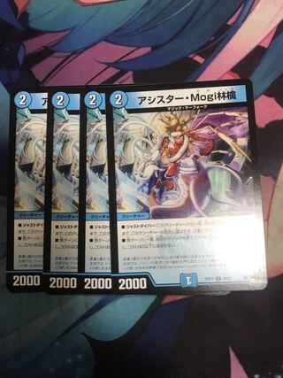 Assister Mogi Ringo C 58/74