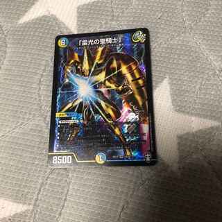 「雷光の聖騎士」