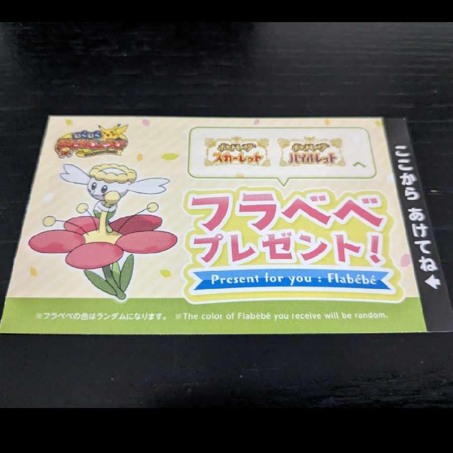 ポケモン SV  フラべべ 新品