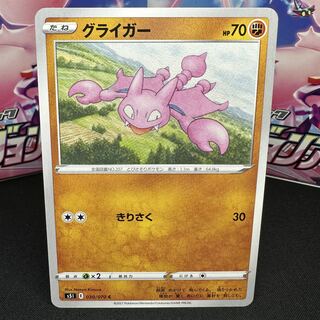 グライガー C 030/070