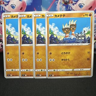 カメテテ C 060/100